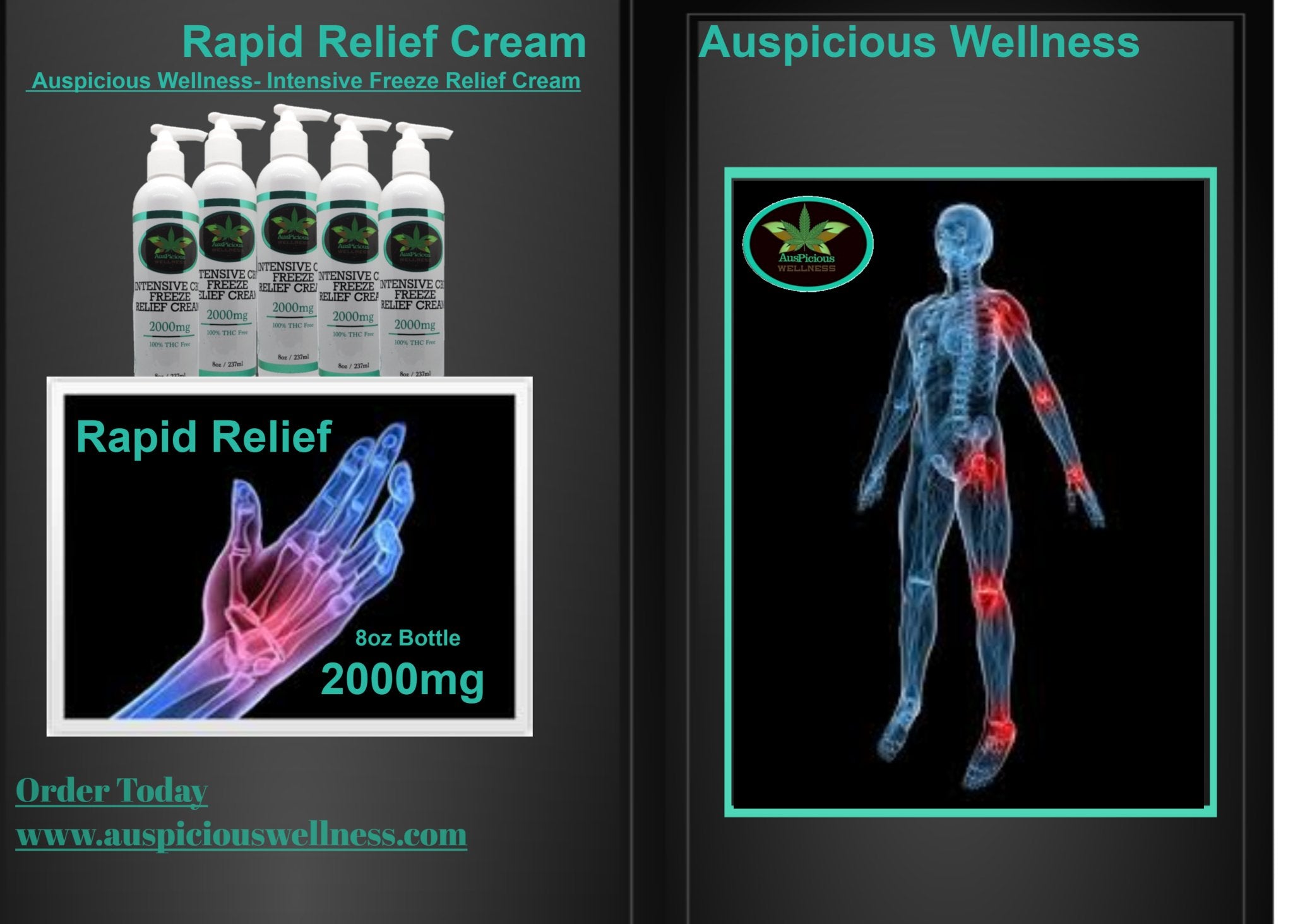 Intensive CBD Freeze Relief Cream 2000mg - auspiciouswellness