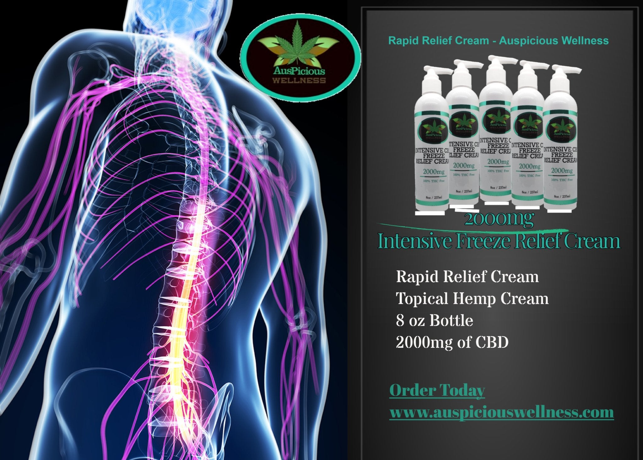 Intensive CBD Freeze Relief Cream 2000mg - auspiciouswellness