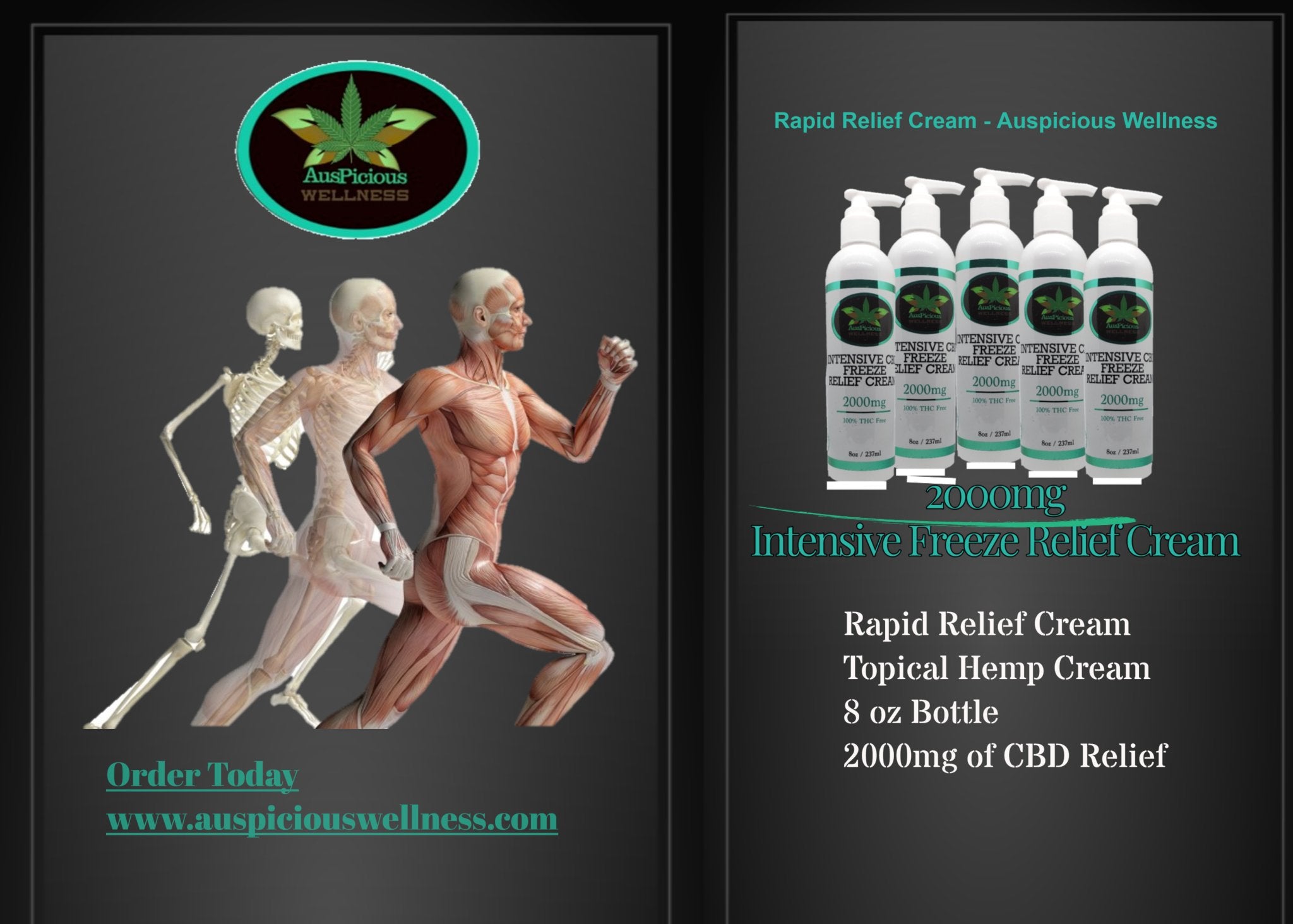 Intensive CBD Freeze Relief Cream 2000mg - auspiciouswellness